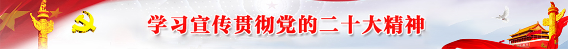 学习贯彻党的二十大精神