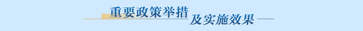 重要政策举措及实施效果