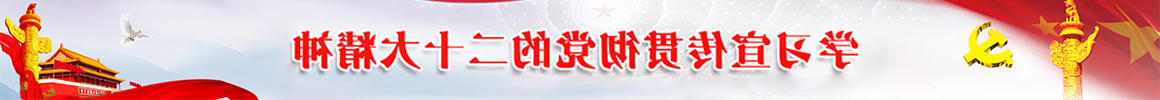 学习贯彻党的二十大精神