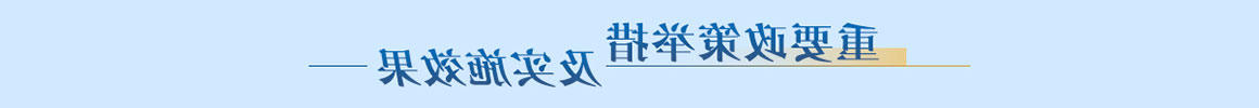 重要政策举措及实施效果
